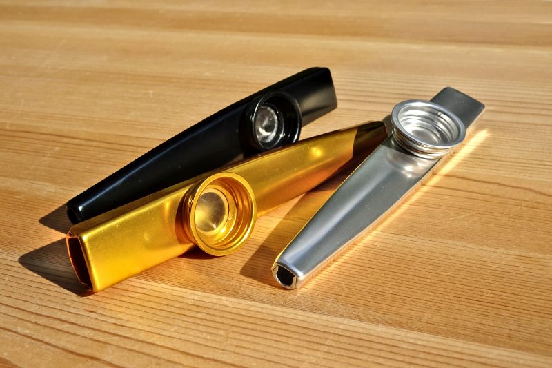 Einfach zu lernendes Musikinstrument: Kazoo