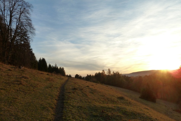 Komponieren lernen und ein Konzept entwickeln.