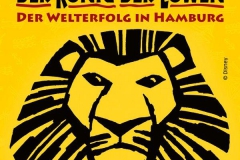 disneys-koenig-der-loewen-musical-erfahrungen