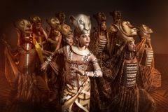 erfahrungsbericht-koenig-der-loewen-musical-hamburg