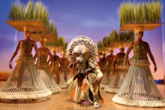 erfahrungsbericht-musical-koenig-der-loewen