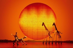 hamburg-musical-koenig-der-loewen-erfahrungen