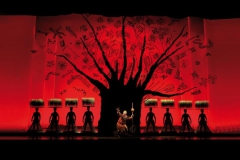 musical-koenig-der-loewen-erfahrungen-buehnenbild