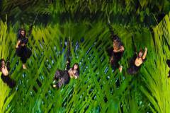 bewertung-tarzan-musical-gorillas-luftakrobatik