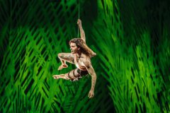 tarzan-alexander-klaws-musical-kritik