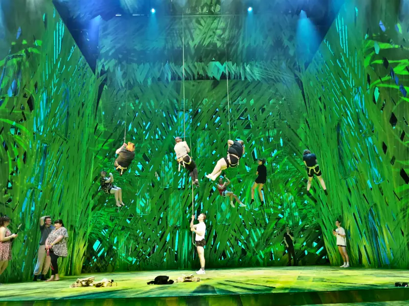 fliegen-erfahrungen-tarzan-musical