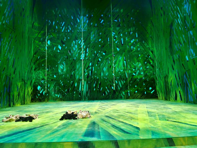 harnesse-seile-fliegen-tarzan-musical