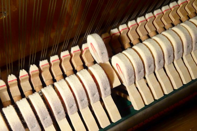 Klavier von innen: Hämmer schlagen mit ihren Filzköpfen auf die Saiten