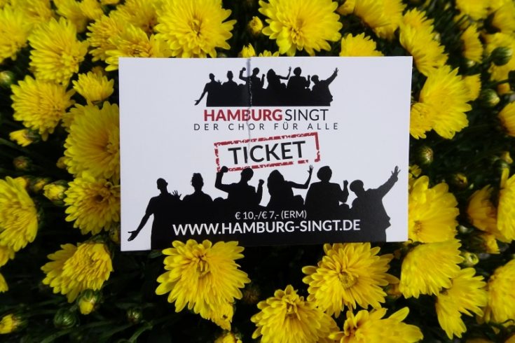 Erfahrungsbericht zum Chor Hamburg singt